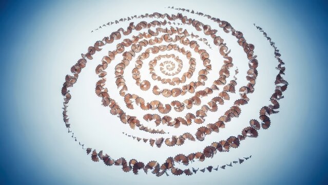 Abstract spiral pattern formed by repeating natural elements against a soft blue background