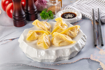 Japanese cuisine stuffed dumplings Gyoza
