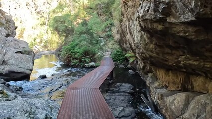 MacKenzie River Walk winds it way along the river through young eucalypt forest in Grampians National Park, Australia