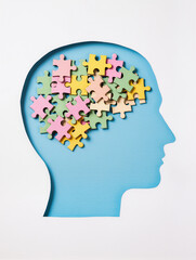 Brain and mental health care concept, Head silhouette, Mental management, and brain shaped puzzle pieces on white background