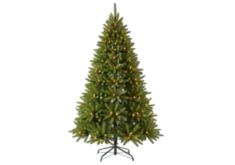 Green christmas tree with lights isolated on transparent background
