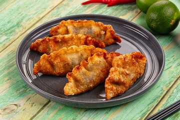 Asian fried stuffed dumplings gyoza