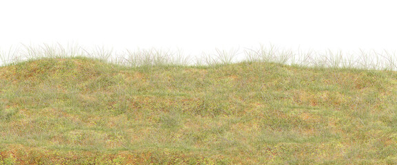 3d Vibrant Grass Field Landscape with Gentle Undulations Under Bright Natural Light
