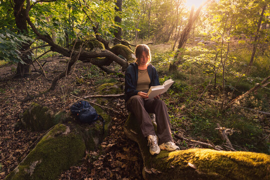 High angle view of woman reading book while sitting on tree trunk in forest