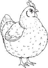 Fat Hen Chicken Hand-drawn Sketch Drawing Vector Illustration, Line Linear Symbol Engraving Coloring Book, Black and White Isolated
