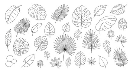 A collection of outlined tropical and exotic leaves, featuring various shapes and styles of jungle foliage in a clean line art drawing.