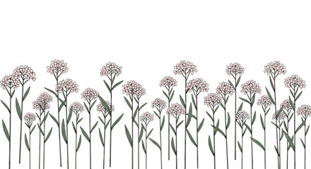 Hand-drawn row of small, delicate pink flowers with green stems and leaves, forming a charming botanical border on a clean white background.