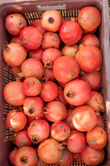 red ripe pomegranates fruit in a container. bright background, pomegranates close up