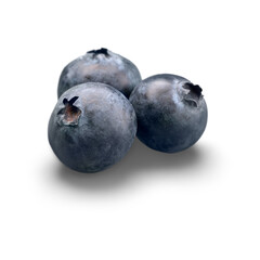 Three Ripe Blueberries on a White Background.