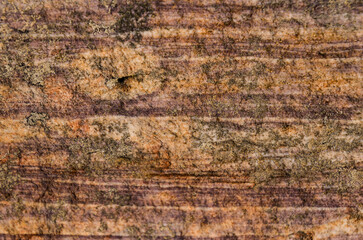 Abstracción de bandas marrones en piedra arenisca