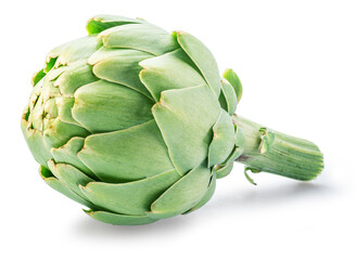 Fototapeta premium French artichoke isolated on white background. File contains clipping path.