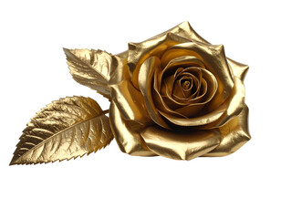 golden rose on white background