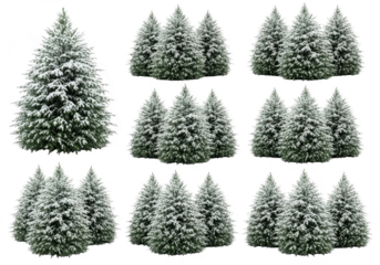Collection of snow-covered evergreen trees isolated on transparent background