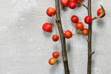 Paradise apples (Malus pumila Mill) on grey stone background, copy space