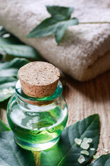 Bottle of green essential oil.