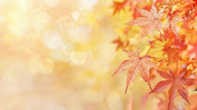 Video A close-up view of a bunch of leaves on a tree, showcasing their texture and pattern