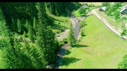 Green field with river stream, summer grass land and green forest