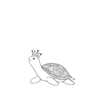 Turtle queen crown cute reptile shell drawing animal pet illustration design tortoise art cartoon sketch