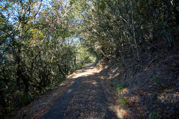 日本の香川県高松市屋島のとても美しい秋の風景