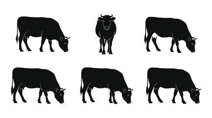 Six black cow silhouettes grazing and standing on a white background cattle livestock