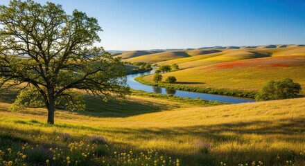 Naklejka premium Scenic view of the flint hills in kansas with a winding river and tree