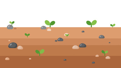 Sprouts growing in soil with stones vector illustration