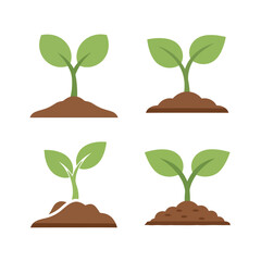 Four growing sprouts vector illustration in different stages