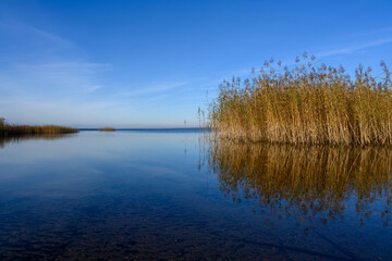 Nature's calm embrace at Pereslavl-Zalessky's tranquil waters