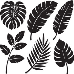 Obraz premium Tropical leaves silhouettes for decoration use