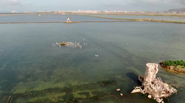 Salina Paceco Trapani Sycylia solanka Flamingi w locie 