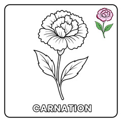Carnation Cute Flower Garden Children coloring page