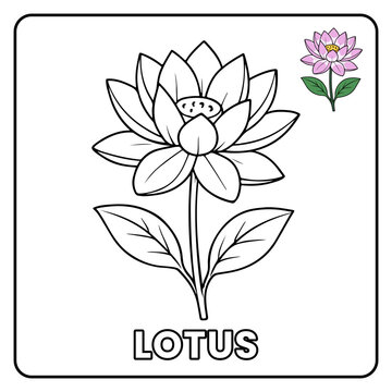 Lotus Flower Garden Children coloring page