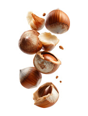 Fresh Hazelnuts Falling Top to Bottom on Transparent Background