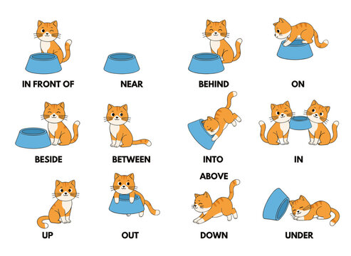 A colorful flat vector illustration featuring a cute hamster with bowls and isolated vocabulary on a white background, showcasing English prepositions of place and movement for language learning