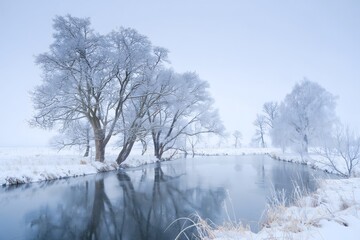 Frozen Trees along a River in Winter Landscape