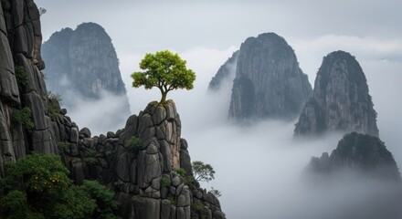 Misty Mountain Landscape with Vibrant Orange Tree on Rocky Peak