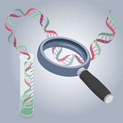 Laboratory test tube with a DNA helix inside under a magnifying glass. Examination of deoxyribonucleic acid. Genetic test concept. 3d flat isometric vector illustration.