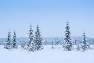 Fototapeta premium Snowy Forest Landscape with Evergreen Trees - Winter Scene