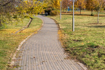 Walk path in the park covered by colorful autumn leaves, Season
