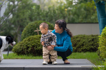 An Asian grandmother in a blue top, squatting and holding her 16-month-old grandson in plaid shirt while they interact with a puppy