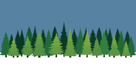 Illustrative winter forest of evergreen trees on white snow, ideal background image