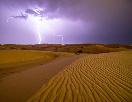 Purple sky lightning striking remote golden sand landscape - Powered by Adobe