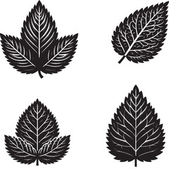 Fototapeta premium Leaf Silhouettes – Stylized Botanical Line Art with Diverse Shapes and Vein Patterns for Nature Themes