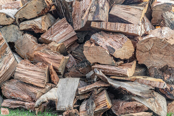 pile of sawn firewood on the ground close up