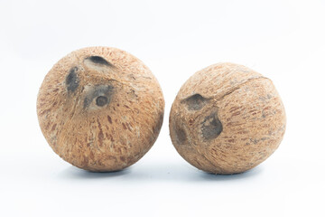  Coconuts isolated on white background