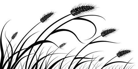 Black and white illustration of wheat stalks blowing in the wind on a white background