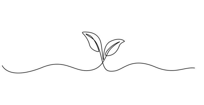 Animated self drawing of  Growing plant, sprout leaves in one continuous line drawing. Creative concept of renewable green energy and environmental friendly sources. Doodle 