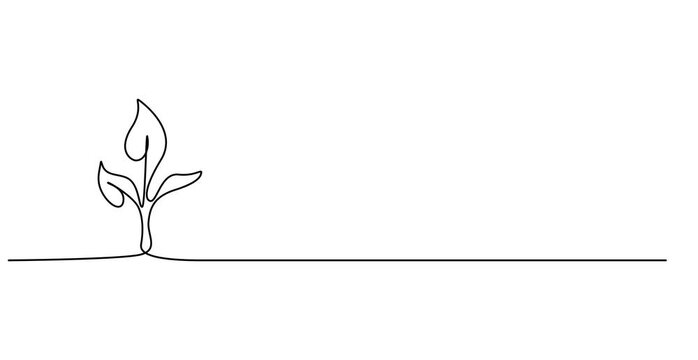 Animated self drawing of  Growing plant, sprout leaves in one continuous line drawing. Creative concept of renewable green energy and environmental friendly sources. Doodle 