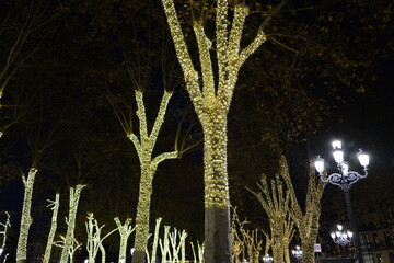 Fototapeta premium Christmas decoration in the street at night