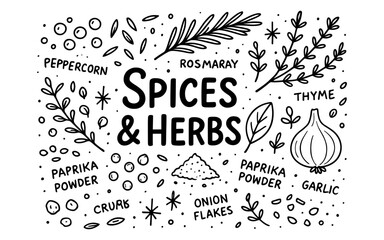 Hand drawn spices and herbs design with peppercorn, rosemary, garlic, thyme, paprika